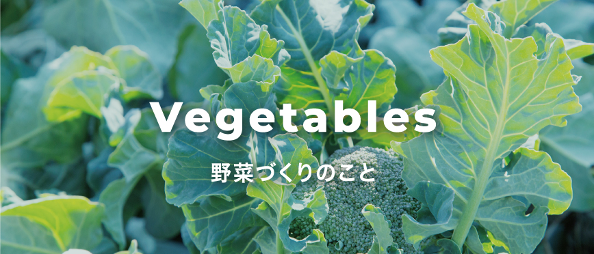 Vegetables 野菜づくりのこと